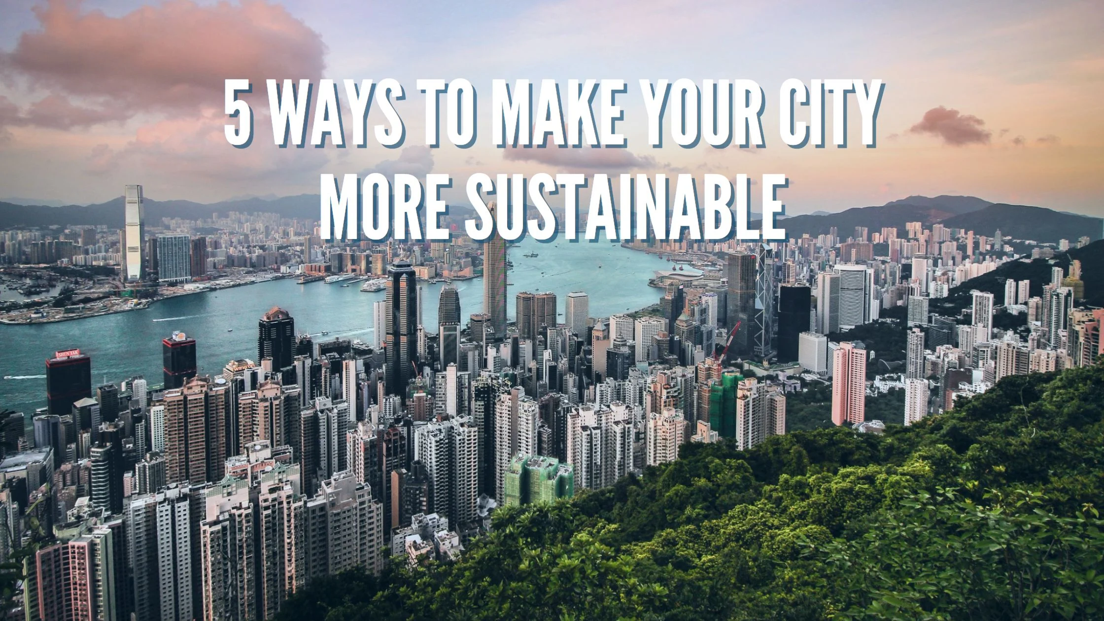 Top Tips to Make Your City More Sustainable and Healthier